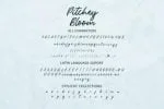 Pitchey Bloom