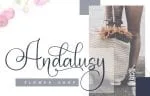 Plamiya Font