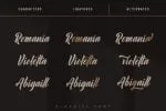 Plankiss Font