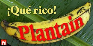 Plantain Font Family