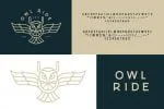 Plat Sans Serif Typeface