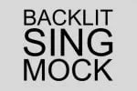 Platinum Evelyn Duo Font
