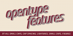 Plau Italics Font Family