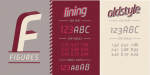 Plau Italics Font Family