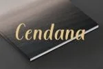 Playstile Font