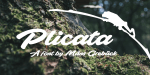 Plicata Font