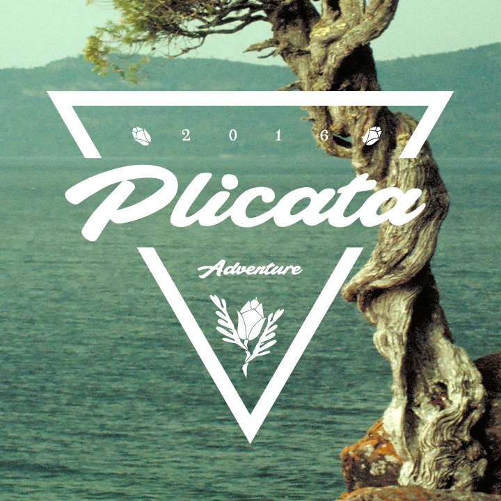 Plicata PERSONAL USE ONLY font