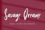 Plottage Font