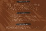 Plumrose Signature Font