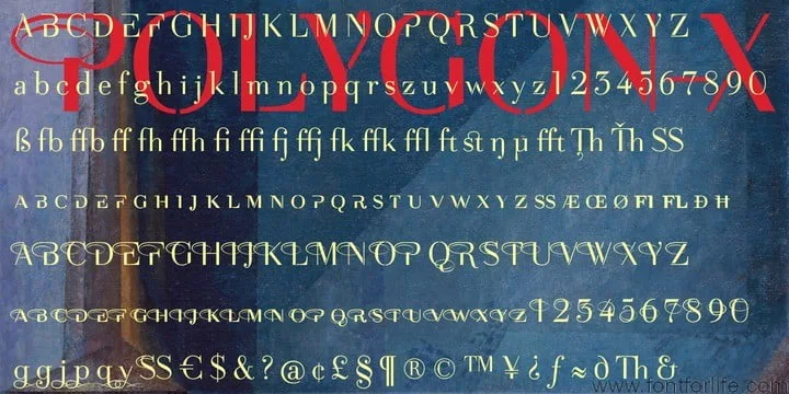 Polygon X Font Family