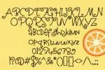 Pomegranate Juice Font