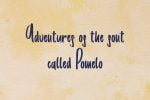 Pomelo font