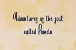 Pomelo font