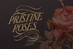 Portalica Font