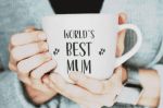 Porterhouse Font