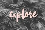 Portobesto Brush Script Trio