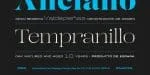 Positype Display Font Collection