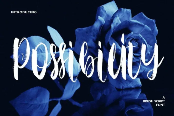 Possibility - Brush Script Font