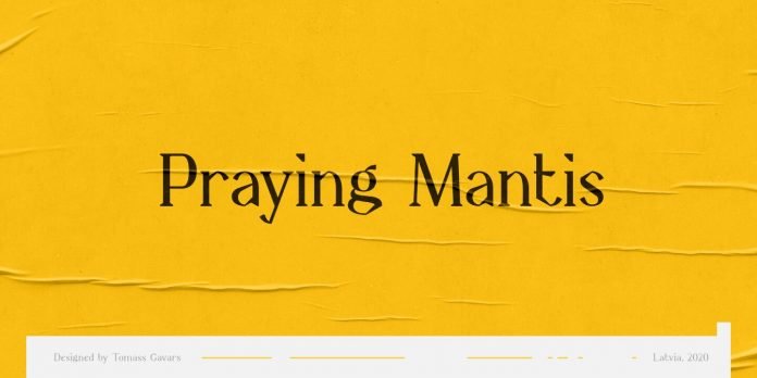 Praying Mantis Font