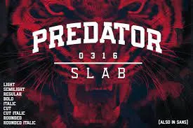 Predator 0316 Slab Font