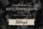 Prettybie Script Font