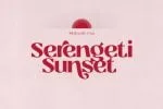 Prettywise - Modern Vintage Serif Font
