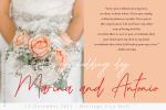Barsanda Script Font