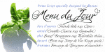 Prima Script Font