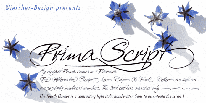 Prima Script Font