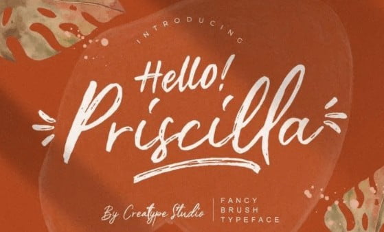 Priscilla Fancy Brush Typeface Font