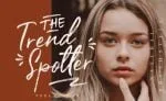 Priscilla Fancy Brush Typeface Font