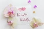 Prishilly Modern Calligraphy Font