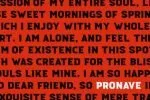 Pronave - Display