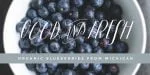 Prosciutto Font