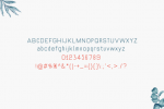 Prospect Font