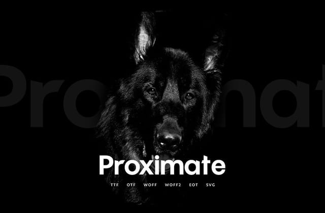 Proximate Font
