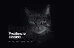 Proximate Font