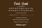 Punk Head-Handwritten Font