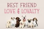 Puppy Lover Font
