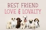 Puppy Lover Font