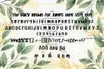 Pure Honey Modern Type Font