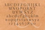 QUEEN: An Elegant Serif Font