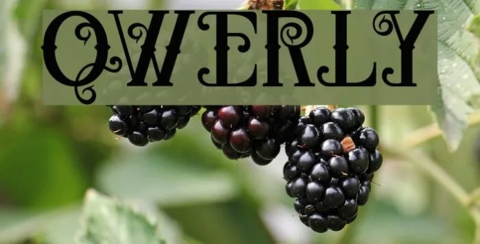 Qwerly Font