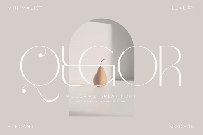 Qegor Modern and Minimalist Serif Font