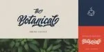 Qintan Script Font