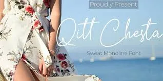 Qitt Chesta - Monoline Script Font
