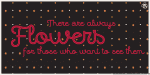 Quaderno Font