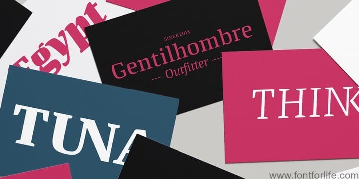 Quador Display Font Family