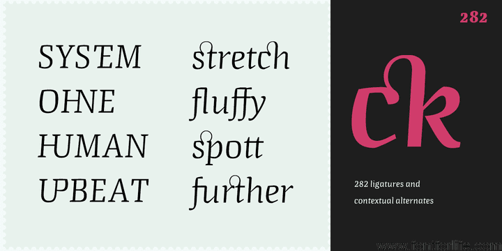 Quador Display Font Family
