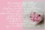 Qualitative Font